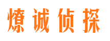 西岗市调查公司